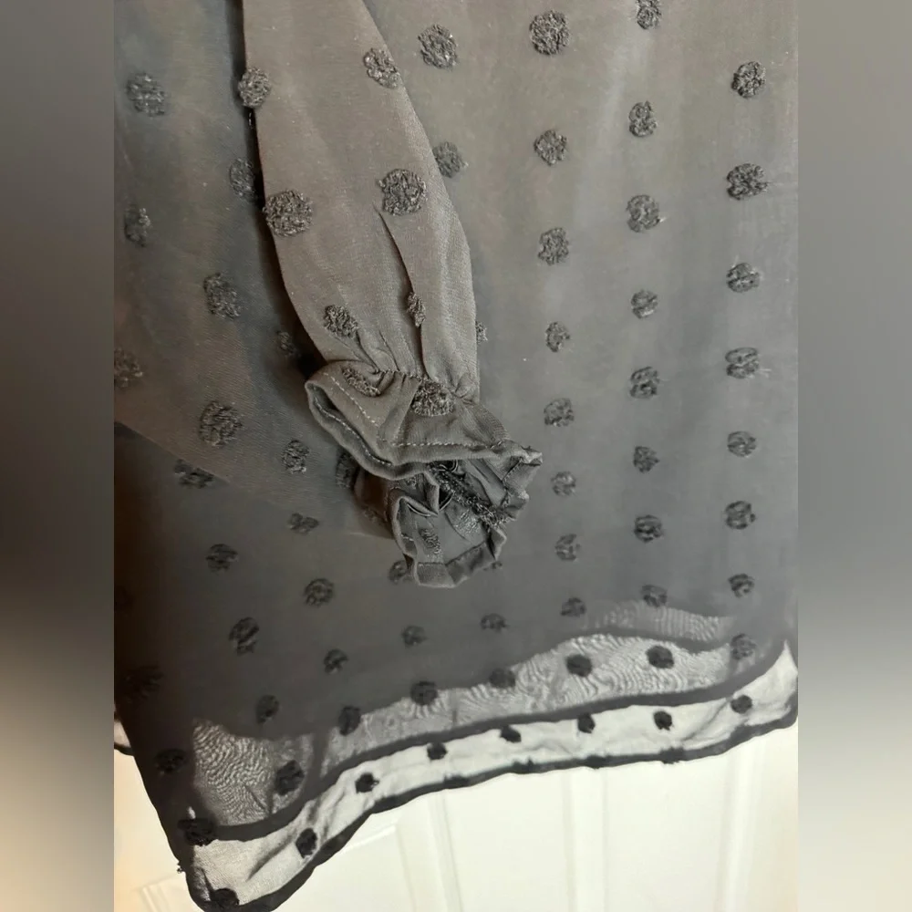 Entro Black Sheer Ruffled Blouse Size L - Picture 3 of 12